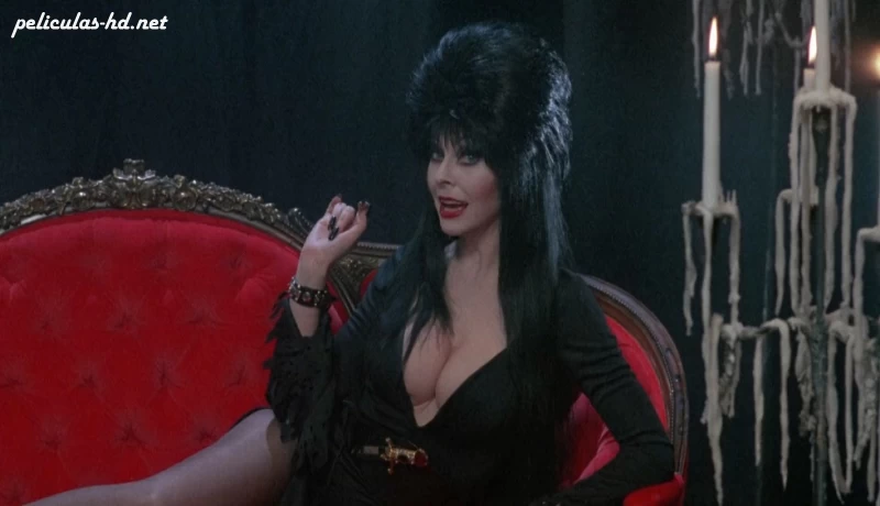 Download Elvira, la dama de la oscuridad