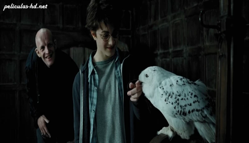 Download Harry Potter y el prisionero de Azkaban