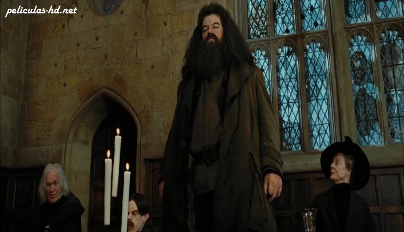Download Harry Potter y el prisionero de Azkaban