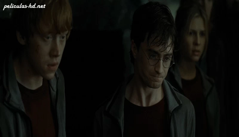 Download Harry Potter y las Reliquias de la Muerte: Parte 1