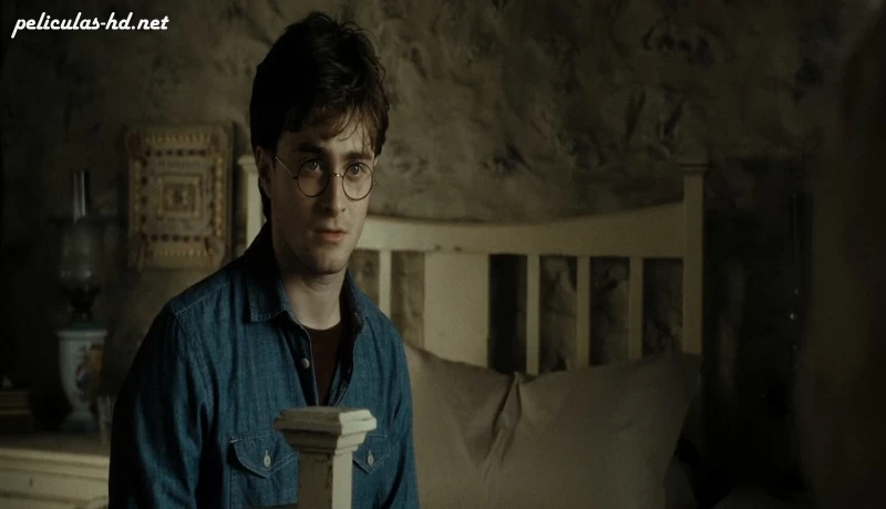 Download Harry Potter y las Reliquias de la Muerte: Parte 2
