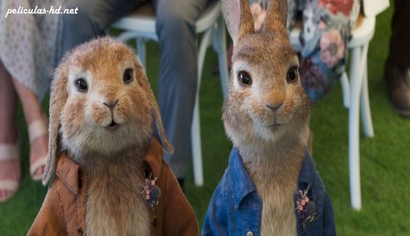Download Peter Rabbit 2: Conejo en fuga